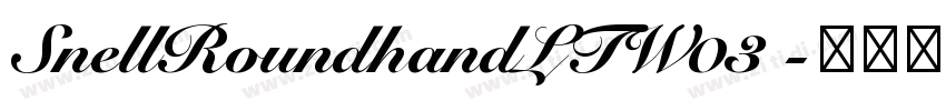 SnellRoundhandLTW03 字体转换